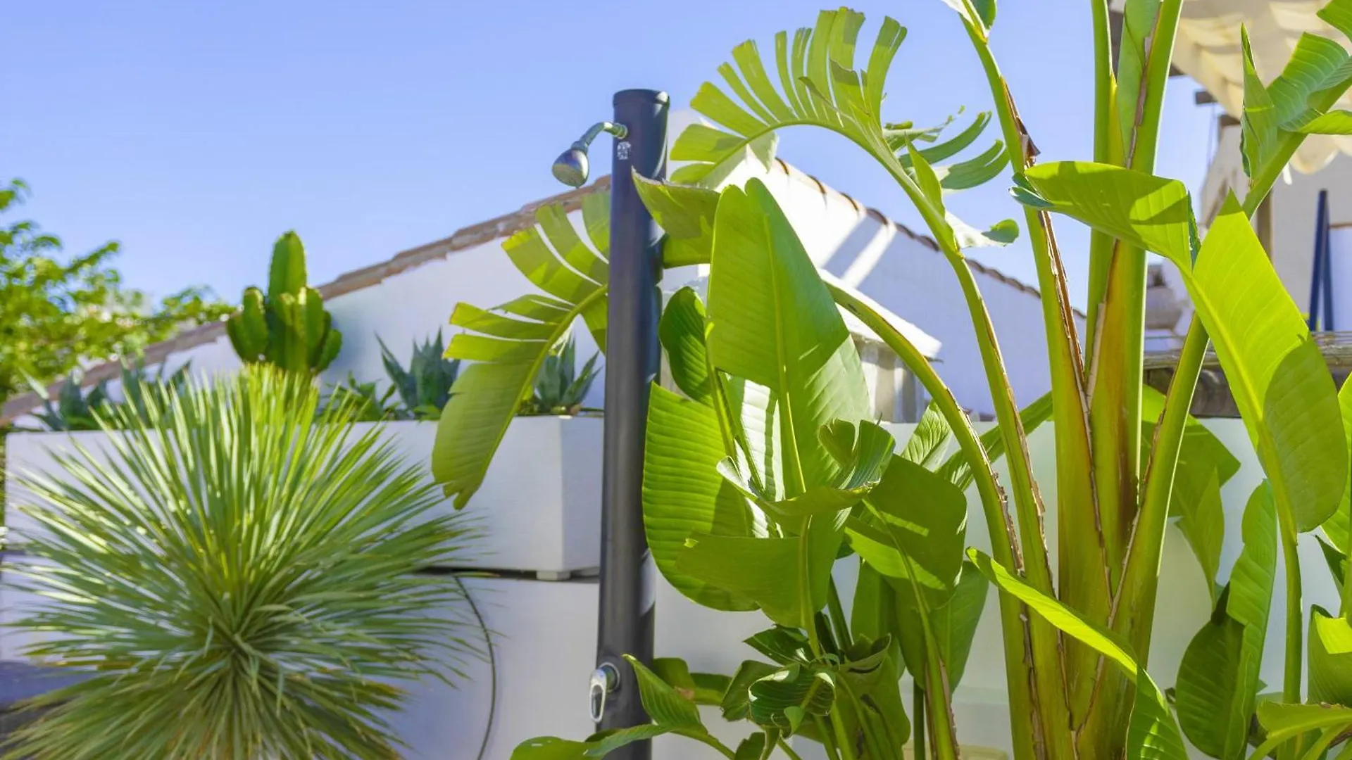 Apartment Estepona Centre Fishermans Cottage Leif